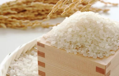 穀物検査報告システム